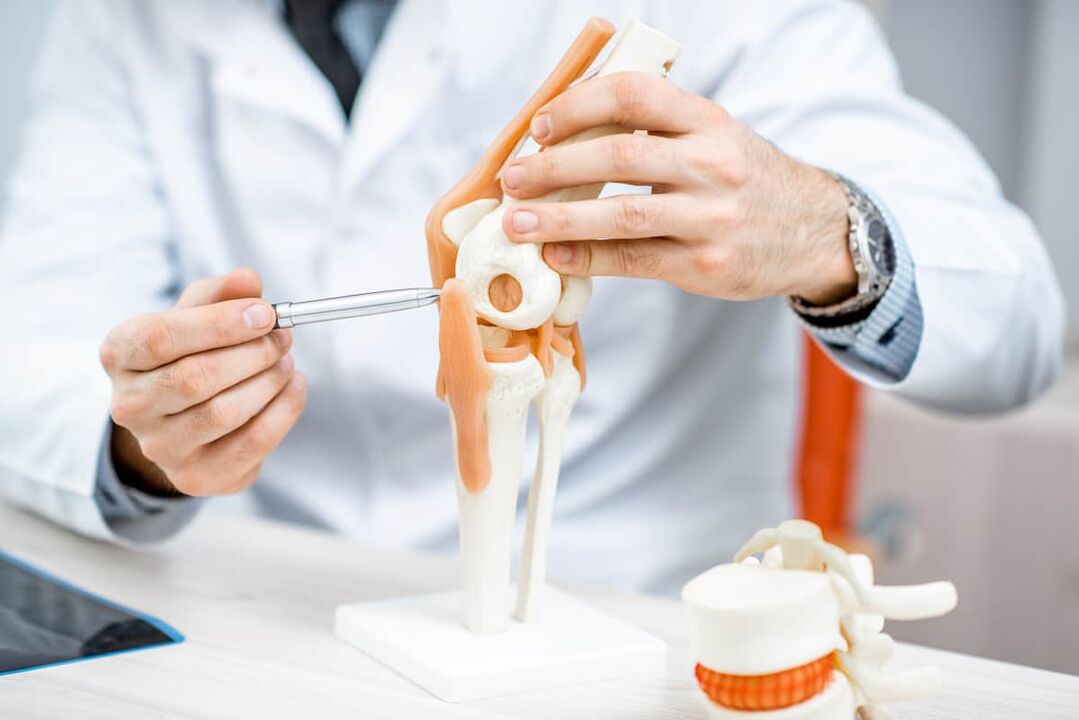 Model of the knee joint, allowing you to appreciate its structure